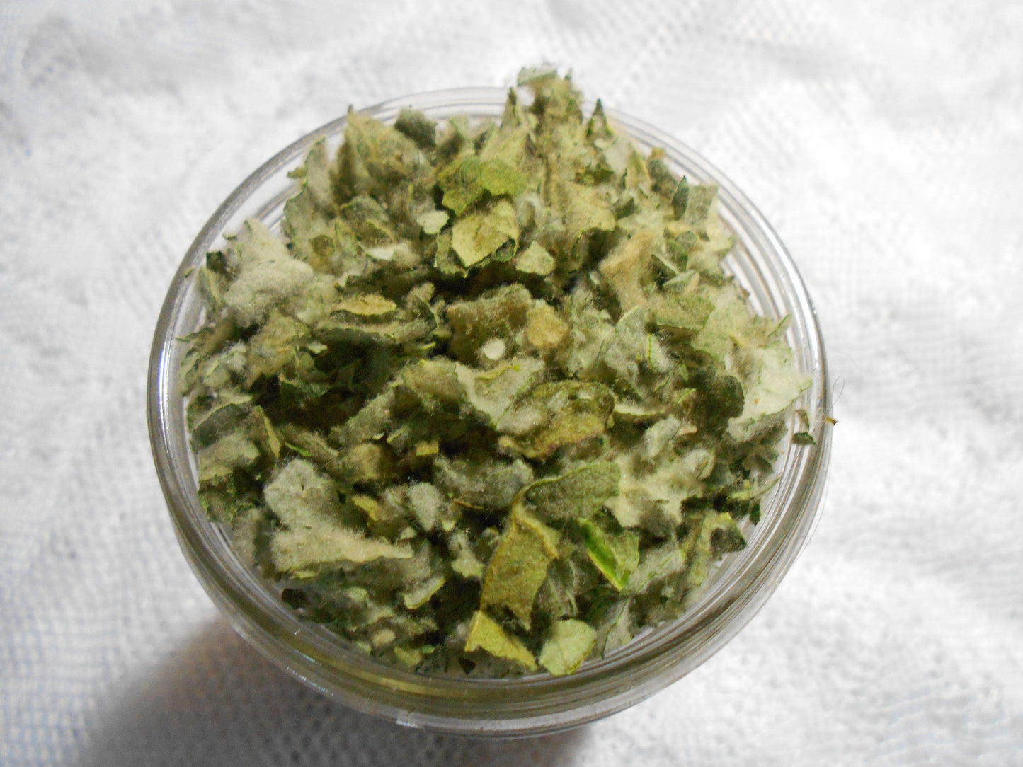 LUNG LEAF c/s organic (verbascum thapus)