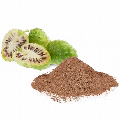 NONI fruit, powder ( Morinda citrifolia 2.5 lb ) 113.5 grams
