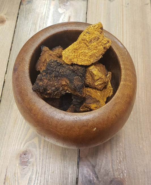 CHAGA MUSHROOM POWDER