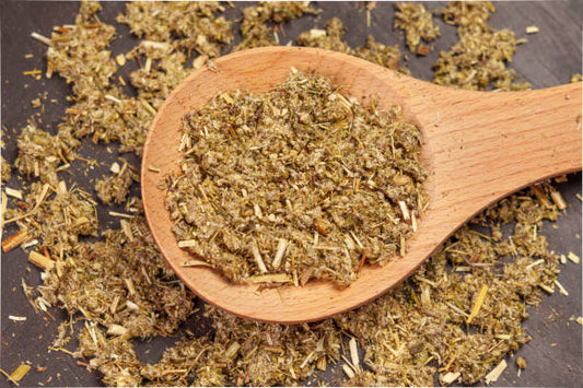 WORMWOOD wild crafted (artemisia adsinthium)